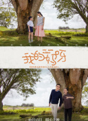www.香蕉在線(xiàn)視頻軟件