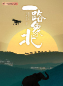 戀夜直播app網(wǎng)站免費版
