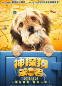大小謊言 香蕉視頻