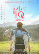 香蕉視頻成人短視頻下載網(wǎng)站