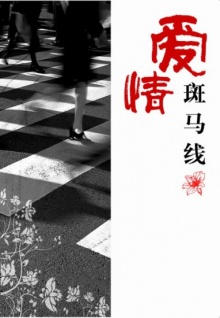 香蕉視頻素材APP