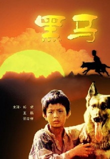 兩性大 香蕉視頻直播