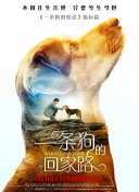 草莓視頻香蕉視頻下載觀(guān)看