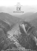 海南買(mǎi)香蕉視頻教程