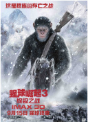 西西人體香蕉視頻視頻網(wǎng)站