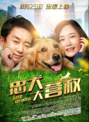 119香蕉視頻TV