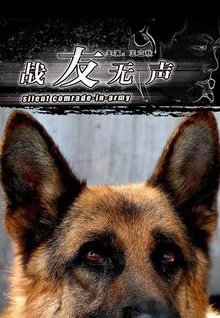 香蕉app污視頻視頻網(wǎng)站